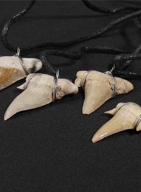 礼盒装鲨鱼牙齿化石项链男女饰品