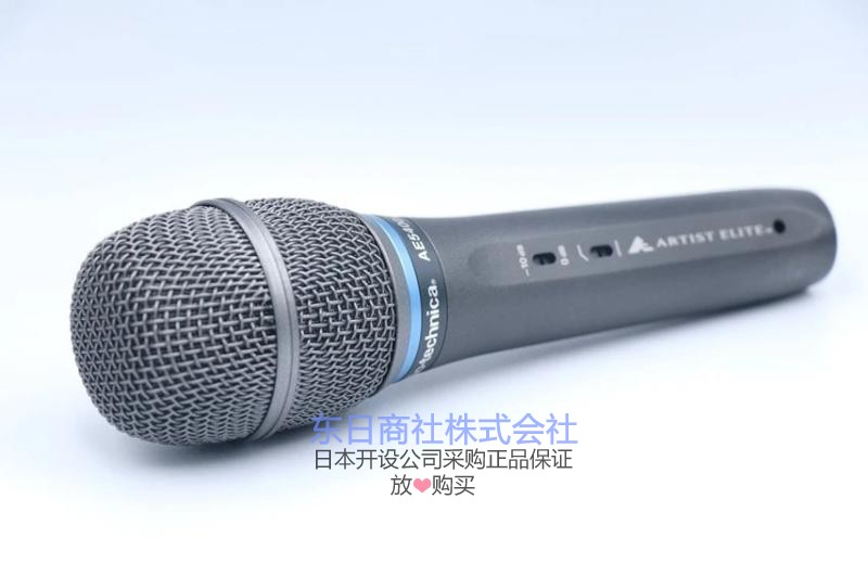 AudioTechnica/铁三角 AE5400 大振膜人声K歌演出 电容话筒麦克风 - 图3