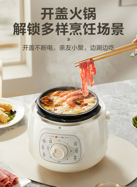 苏泊尔电压力锅家用1.8L精巧容量便捷操作多功能智能小型煮饭锅
