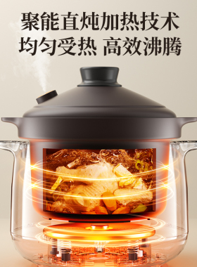 苏泊尔电炖锅紫砂煲汤锅炖汤家用沸炖煮粥神器锅燕窝防溢2026新款