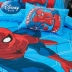 Cậu bé Disney bốn mảnh Cotton Boy Spider-Man Chăn bông Cotton trải giường Bộ đồ giường Bộ ba mảnh - Bộ đồ giường bốn mảnh Bộ đồ giường bốn mảnh