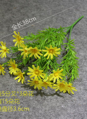 精美洋甘菊栩栩如生的漂亮小花