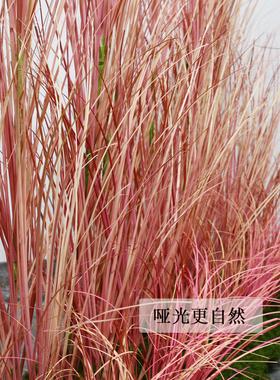 粉色仿真草蒲草洋葱草芦苇草野草洋葱草舞蹈道具草丛菖蒲塑料草堆