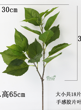 手感大叶片丰富饱满好用
