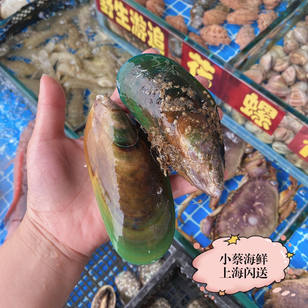 鲜活新西兰青口贝海鲜水产半壳贝类翡翠贻贝超大青口贝蓝口贝1斤-图1