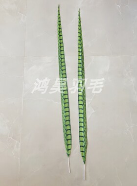 彩色仿真野鸡翎子孙悟空俏花旦京剧戏曲翎毛雉鸡羽长侧尾山鸡羽毛