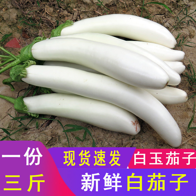 白色茄子 新人首单立减十元 21年7月 淘宝海外