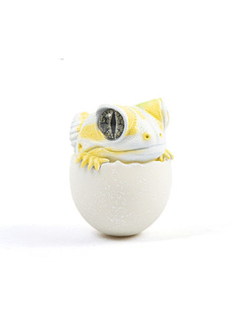 爬宠系列不倒翁 瘤尾守宫系列周边手办模型 潮玩摆件 模玩模了