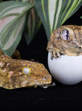 爬宠系列不倒翁巨人守宫系列周边手办模型潮玩摆件 模玩模了