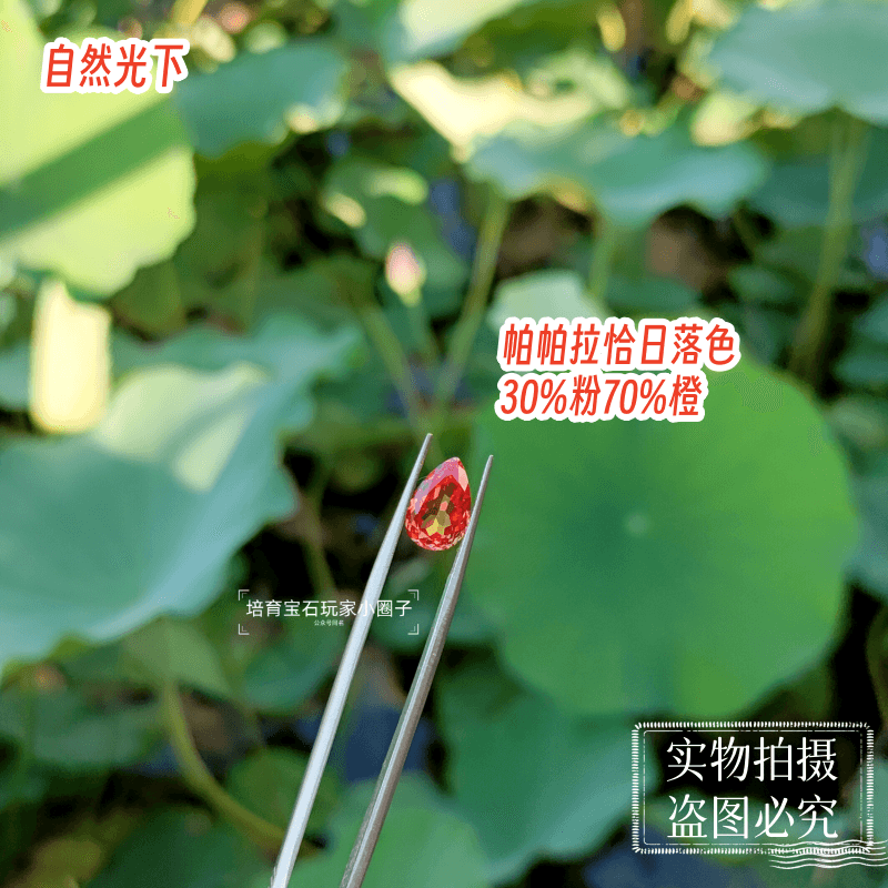 实验室培育帕帕拉恰蓝宝石 日出色 日落色 莲花色 镶嵌用裸石 - 图3