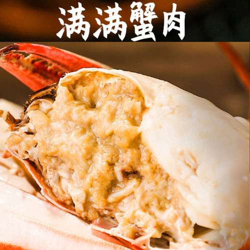 莱州湾梭子蟹鲜活大飞蟹野生母蟹飞蟹特大公蟹白蟹大螃蟹海蟹三斤 - 图0