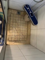 The Goose King Bi Gui Garden Customized by the Goose