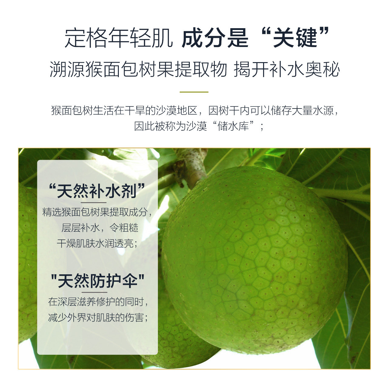 小迷糊猴面包树补水套装对抗初老 小迷糊面部护理套装