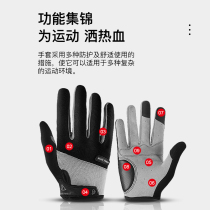 Riding sports competition training anti-wear and wear riding equipment touch-screen gloves Martial Four Seasons Regular outdoor men and women