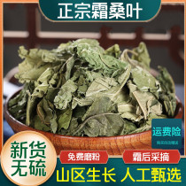 Chinese herbal medicine new stock cream mulberry leaf mulberry leaf tea mulberry leaf dry mulberry leaf winter mulberry leaf 500 gr