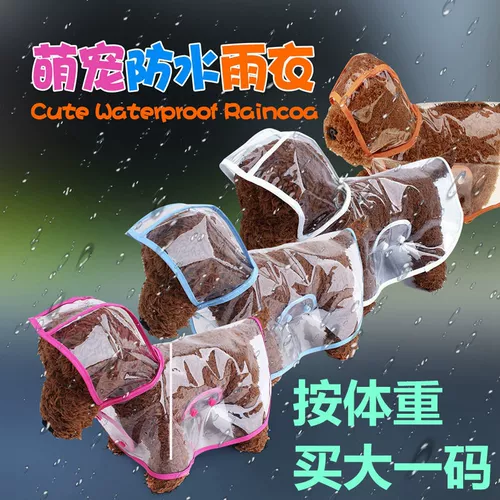 Одежда и одежда Четырех -летняя магазины 11 размеров одежды собачья плащ