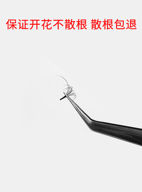 欧美超长16一秒开花浓密嫁接睫毛