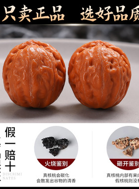 精品文玩核桃小秋子盘玩把件粗筋蚂蚁纹小尺寸核桃男女手捻把玩件