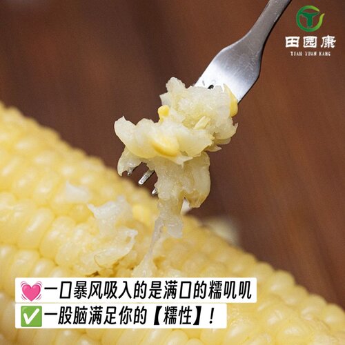 新疆田园康白糯玉米棒4根/袋软糯香甜非转基因速冻新鲜采摘早餐 - 图0