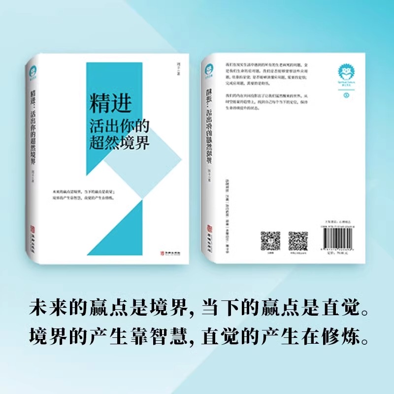 【书】正版精进：活出你的超然境界刘丰著开启你的高维智慧姐妹篇心灵修养书局心灵哲学类通俗读物华龄出版社书籍-图0