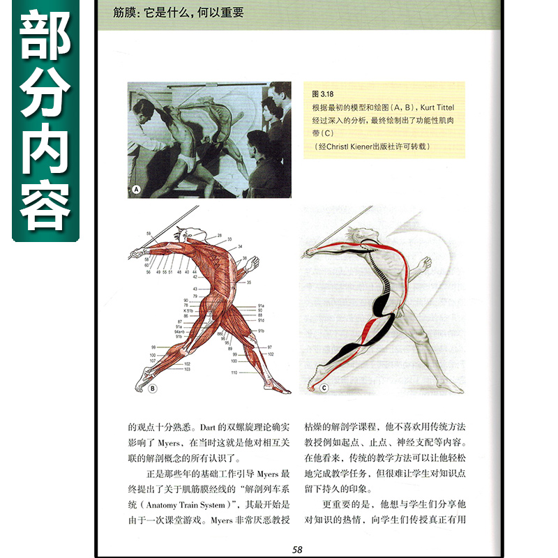 【书】筋膜 它是什么何以重要 筋膜解剖结构力学机制结合神经器官指导诊断治疗 筋膜释放技术健身训练按摩技巧健身书籍