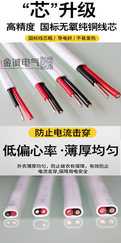 武汉二厂飞鹤电线BVVB 2x6平方铜芯护套线足米国标双股零火进户线 - 图1