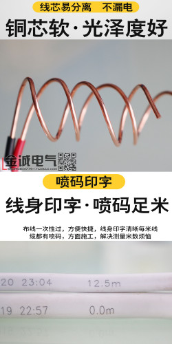 武汉二厂飞鹤电线BVVB 2x6平方铜芯护套线足米国标双股零火进户线 - 图2