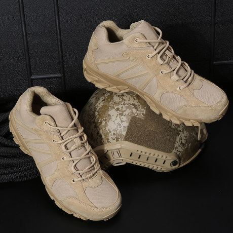 low cut desert boots