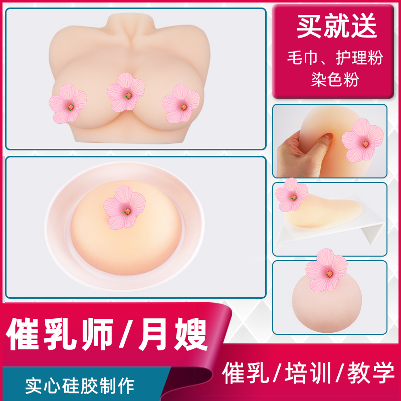 催乳师教具女性硅胶乳房模型家政月嫂培训医学用假乳房软技校医院 - 图0