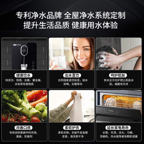汉斯顿净水器家用直饮全屋净水系统中央软水机前置过滤器五件套 - 图0