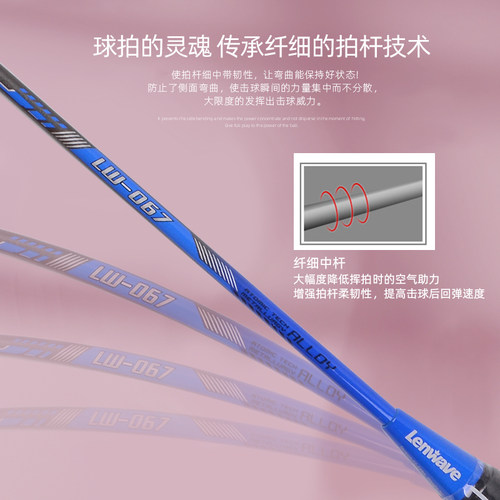 兰威羽毛球拍双拍耐用型儿童学生全碳素超轻单拍正品专业拍子套装 - 图1