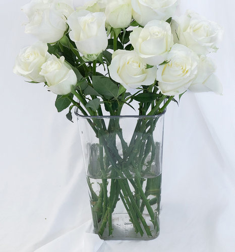 碎冰蓝骄傲白玫瑰鲜花云南基地直发真花鲜切花水养插瓶黑骑士喷色 - 图3