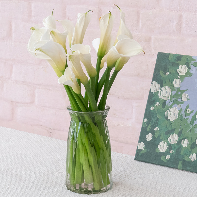 白色马蹄莲鲜花真花水养鲜切花云南基地直发家用客厅办公同城速递,淘宝优惠券,粉丝福利购,淘宝优惠卷