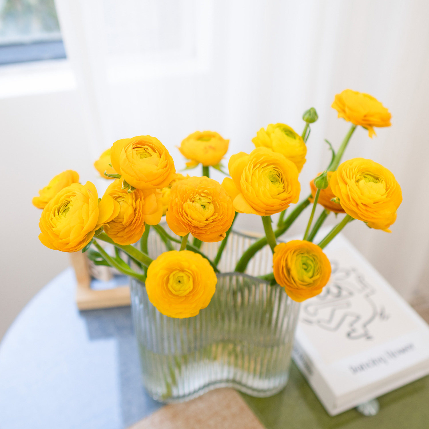 洋牡丹鲜花云南基地直发花艺师首选插花新年鲜花水养鲜花,淘宝优惠券,粉丝福利购,淘宝优惠卷