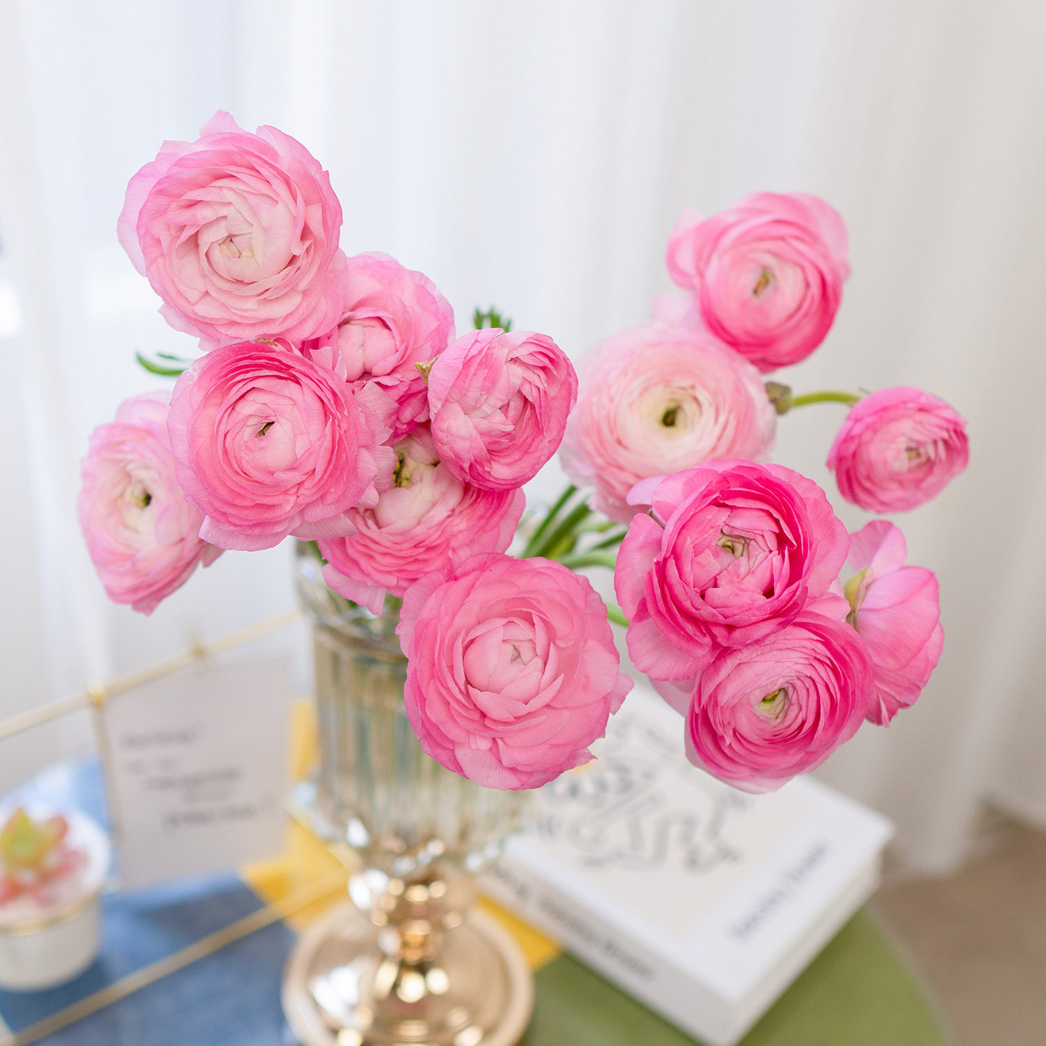 洋牡丹鲜花云南基地直发花艺师首选插花新年鲜花水养鲜花,淘宝优惠券,粉丝福利购,淘宝优惠卷