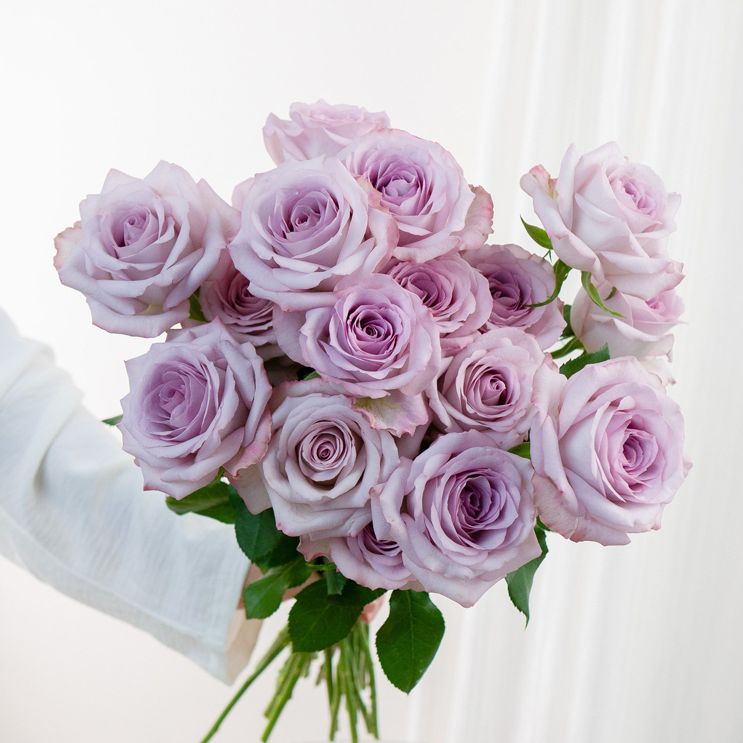 鲜花云南昆明鲜花基地直发气场玫瑰花斗南家庭水养鲜切花材,淘宝优惠券,粉丝福利购,淘宝优惠卷