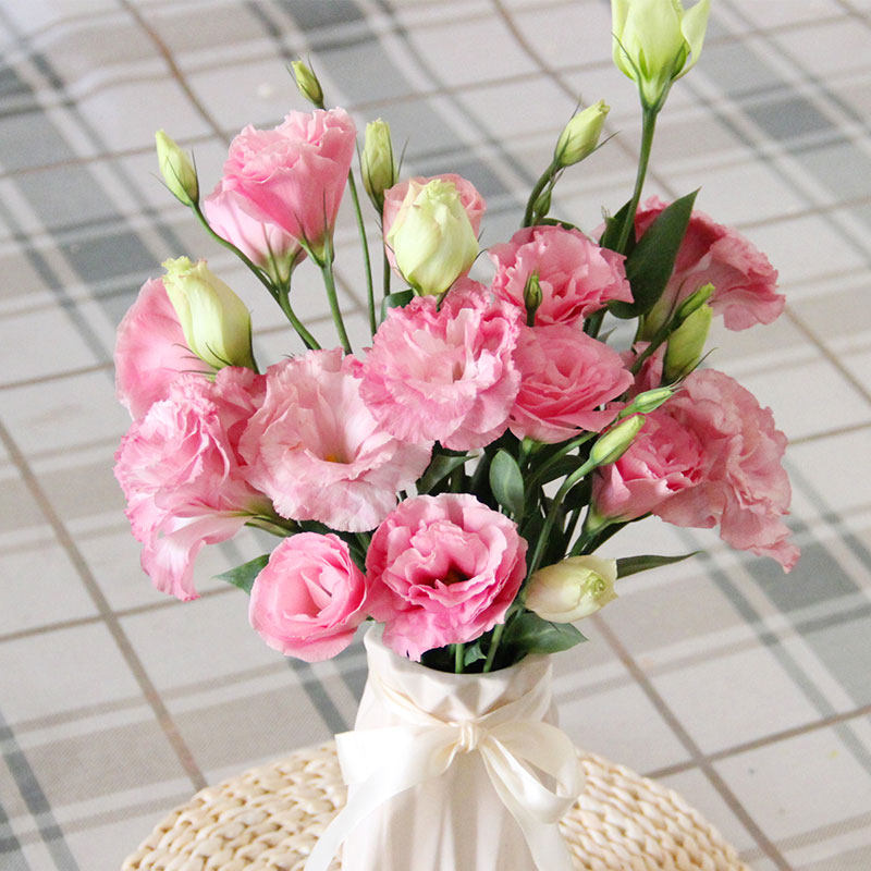 鲜花云南昆明基地直发多头洋桔梗花束直批家用水养插花同城速递,淘宝优惠券,粉丝福利购,淘宝优惠卷