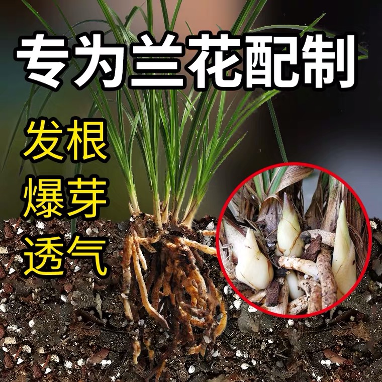 兰花土营养土松树皮养花铁皮石斛基质蝴蝶兰君子兰植料兰花专用土-图1