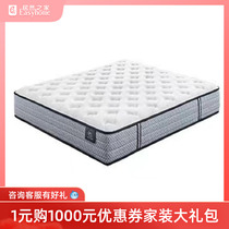 Schuda 6 18 Activities Recommended Champion PLUS Mattresses (Write Off under Online Appointment Line)