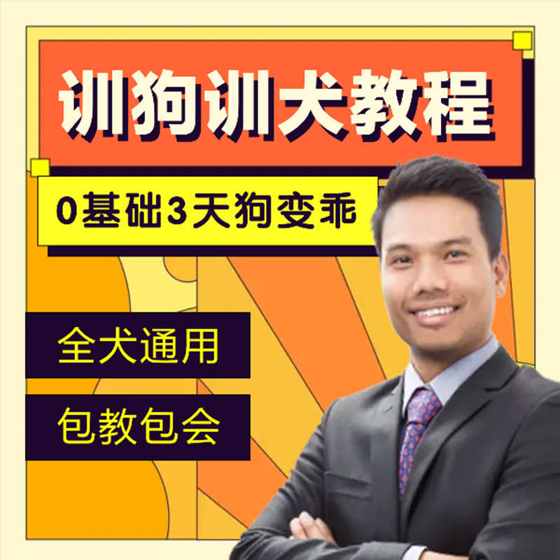 训狗教程训犬拉布拉多金毛马犬边牧狗狗训练教程定点上厕所大小便 - 图2