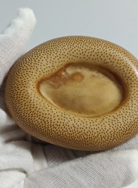 素面手工精磨玉竹隔圆片茶室茶玩文玩摆件手把件精磨竹竹器香盘