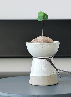 创意摆件可水培陶瓷花瓶