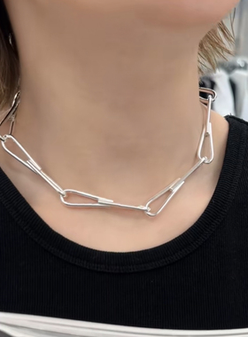 妍西家 诗歌兰女装25秋款时尚气质825银管状竹节锁骨拼接项链女