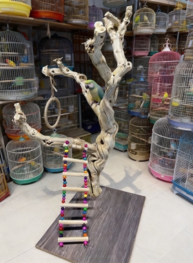 鹦鹉站架树枝鸟站架落地式训鸟架原木玄风站台秋千鸟笼鸟用品