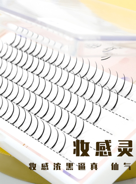 花仙子混合假睫毛送胶水自然分段