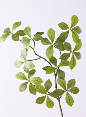 仿真绿植 栀子叶 婚庆酒店插花配叶软装饰工程家居餐桌摆件假