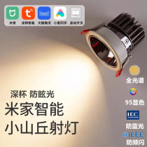 Already Accessed Mijia Intelligent Spotlight Dimming No Main Light Anti-glare Small Hills Sky Cat Genre Silo Lamp Home Spotlight