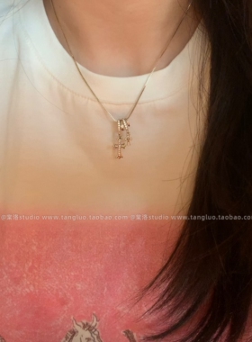 抖音同款 浅钛金闪钻双十字架吊坠项链女简约高级感辣妹锁骨链潮