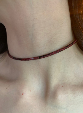 显白的暗红蛇纹choker细款项圈女日常百搭颈链高级感锁骨链2026潮