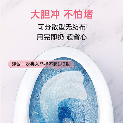 妇炎洁杀菌湿厕纸组合送便携装